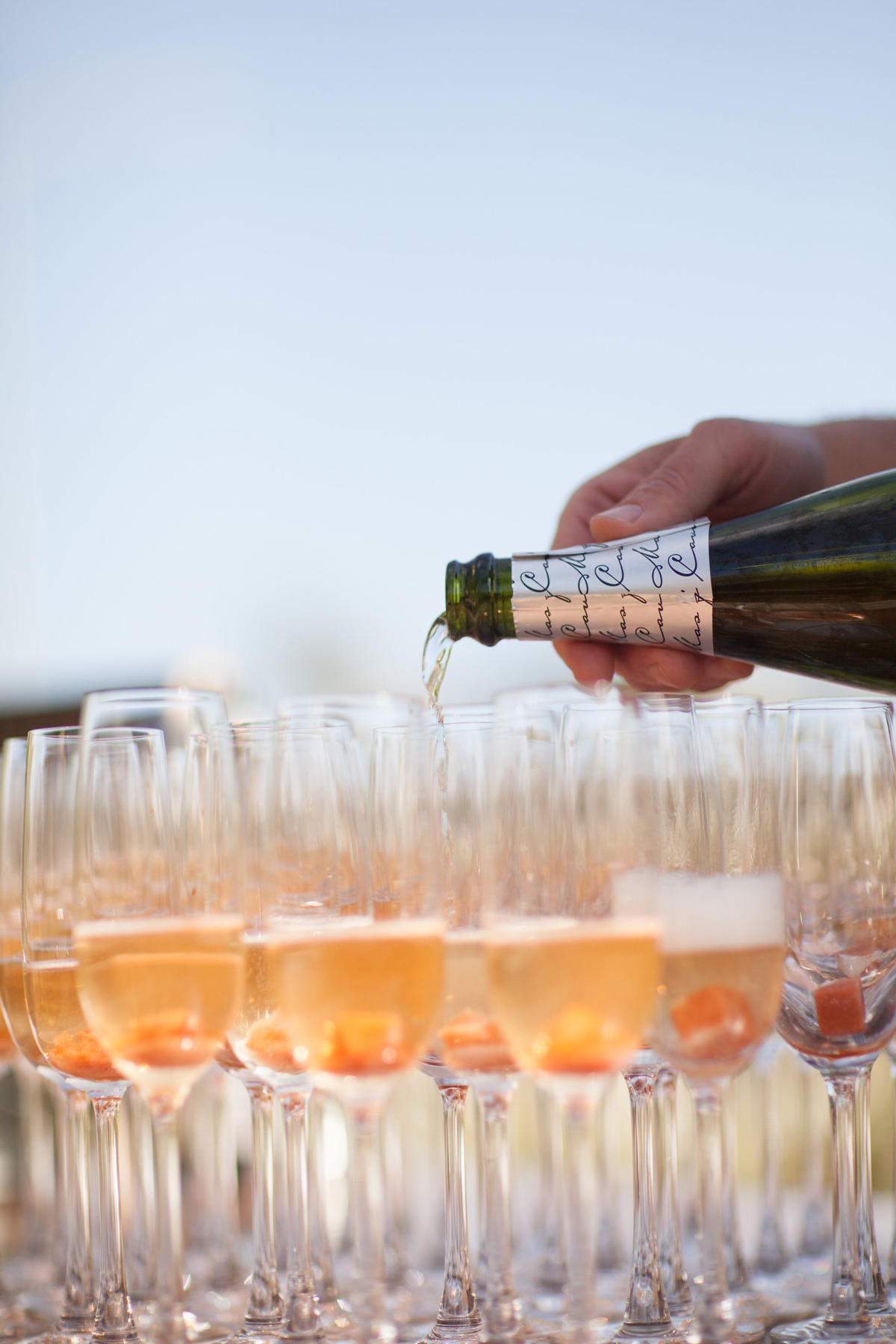 Champagne Cocktail toasts!